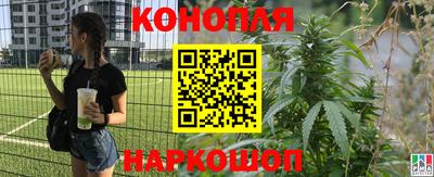 стафф Малоярославец