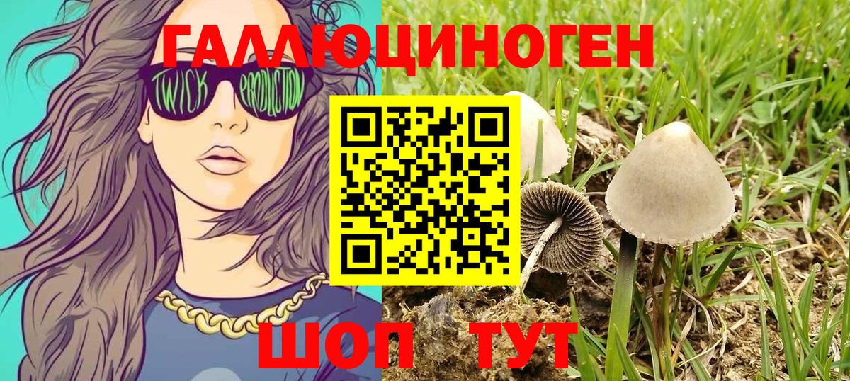 Дивногорск  Псилоцибиновые грибы Cubensis  Вход с VPN  Псилоцибиновые грибы Psilocybine cubensis 